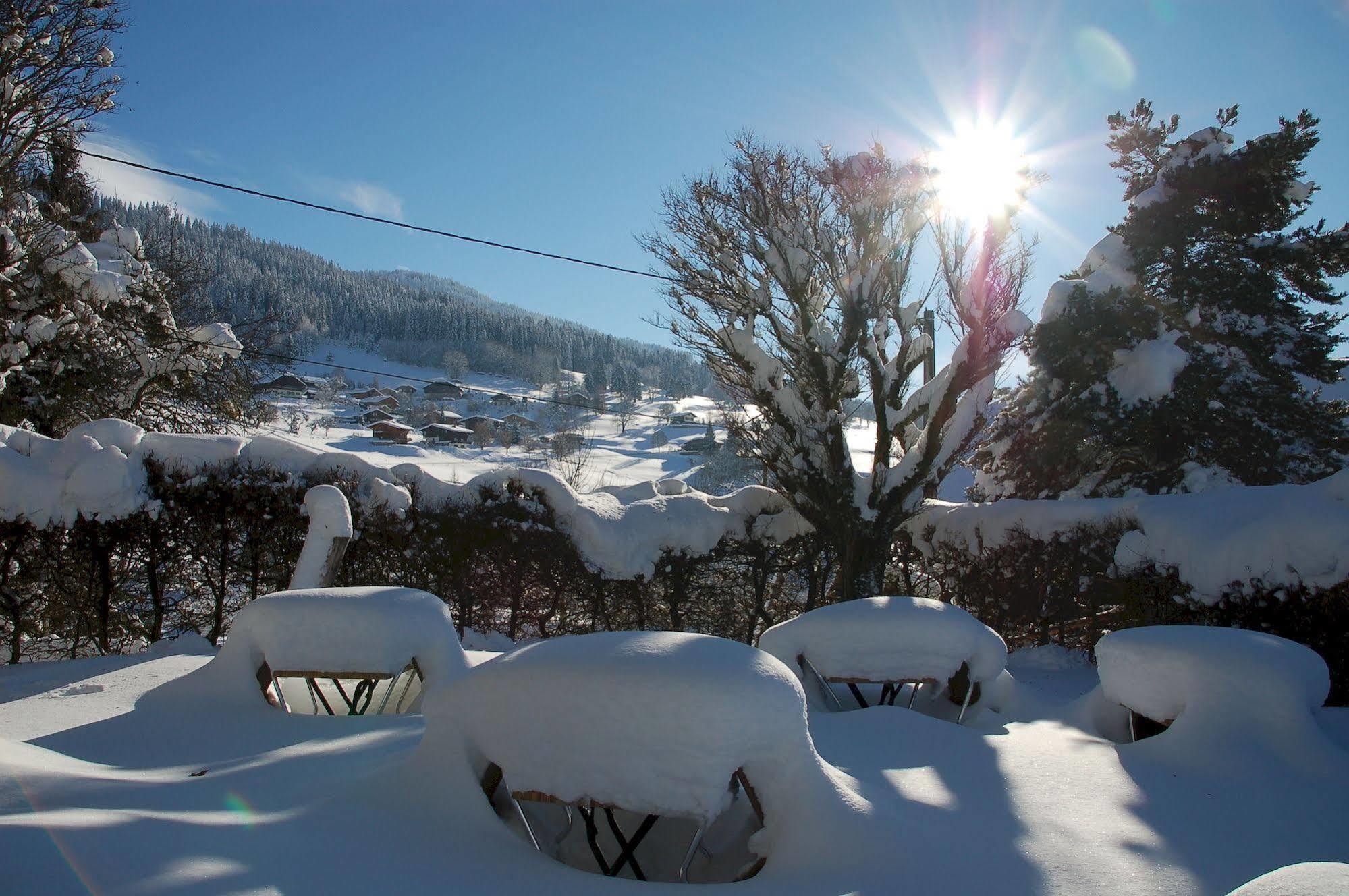 קומבלו Logis Hotel Le Caprice Des Neiges מראה חיצוני תמונה